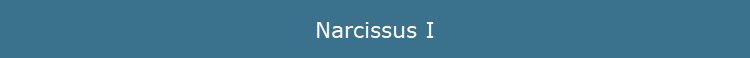 Narcissus I