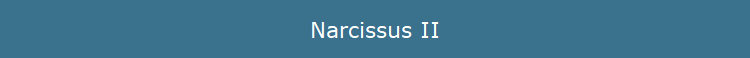 Narcissus II