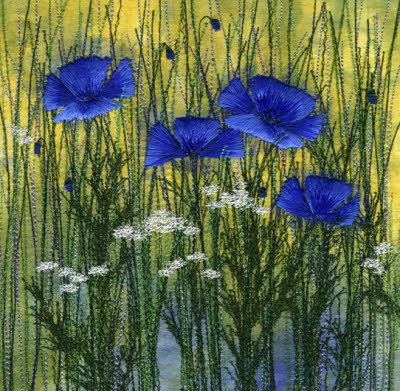 Blue Himalayan Poppies 