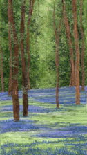 Bluebell Time 