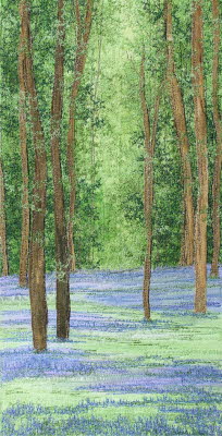 Bluebells Time 