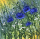 Blue Himalayan Poppies II