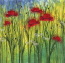 Red Field Poppies II