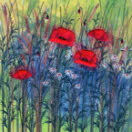 Red Field Poppies VII