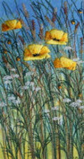 Welsh Poppies III