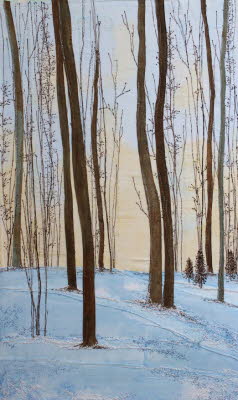 Winter Woodland 